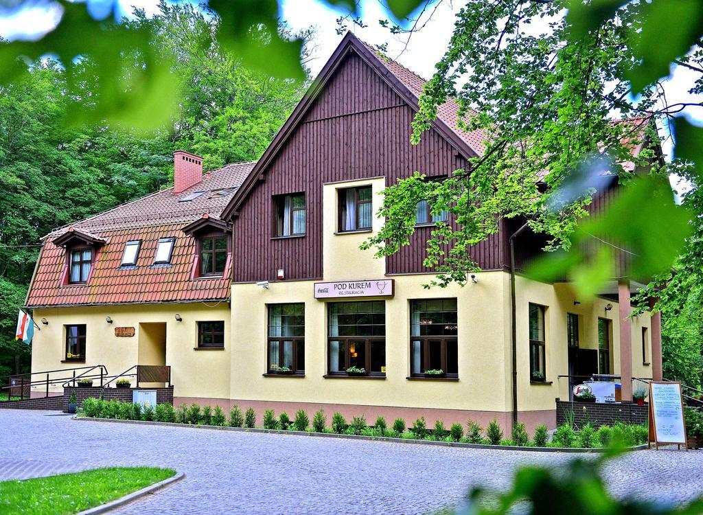Willa Strzelnica Hotel Koscierzyna Exterior photo